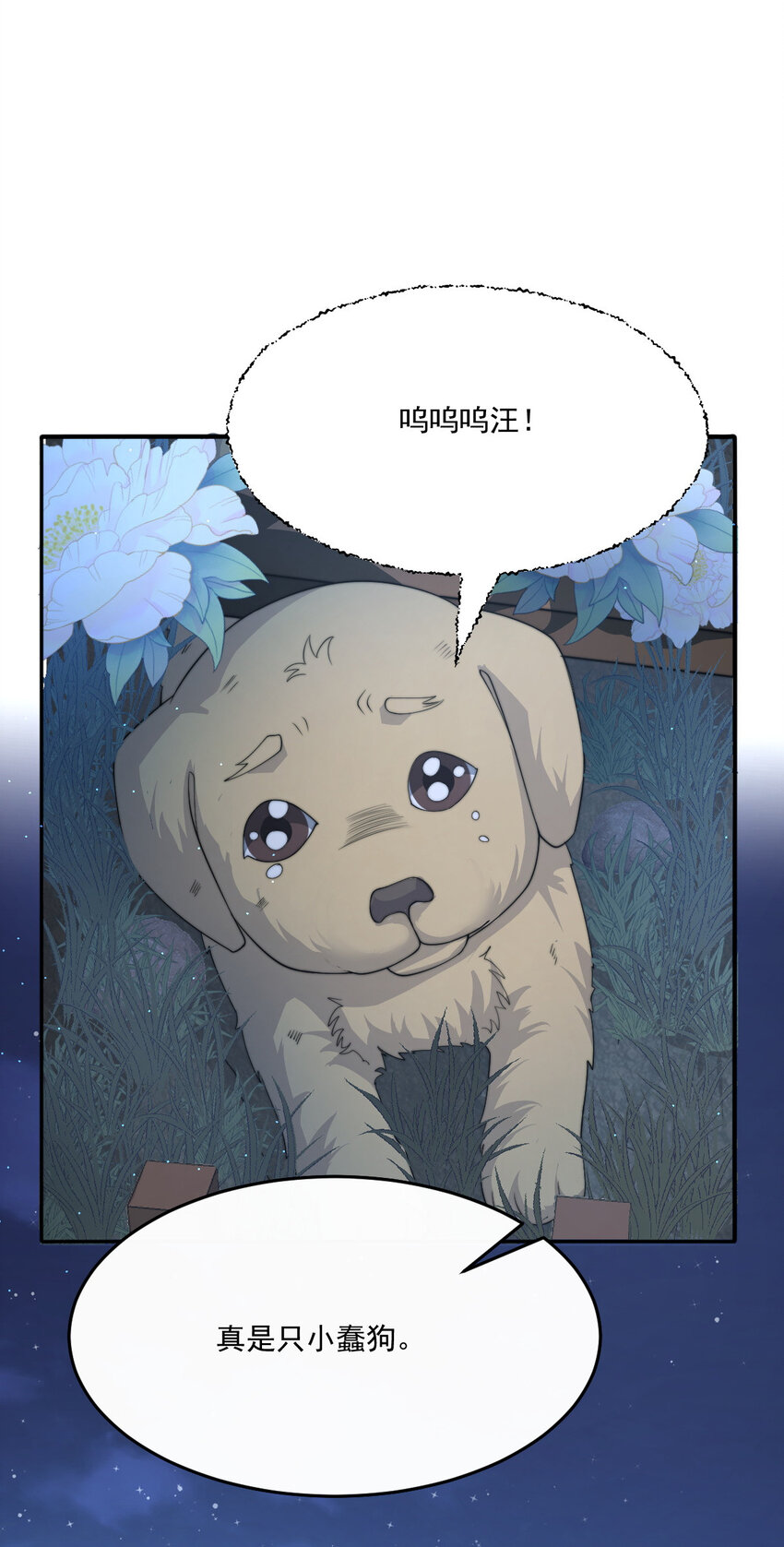 45 诬陷17