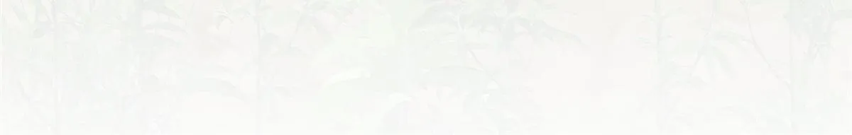 52 上药153