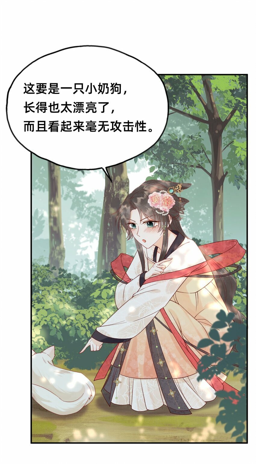 05 又捡了只狐狸28