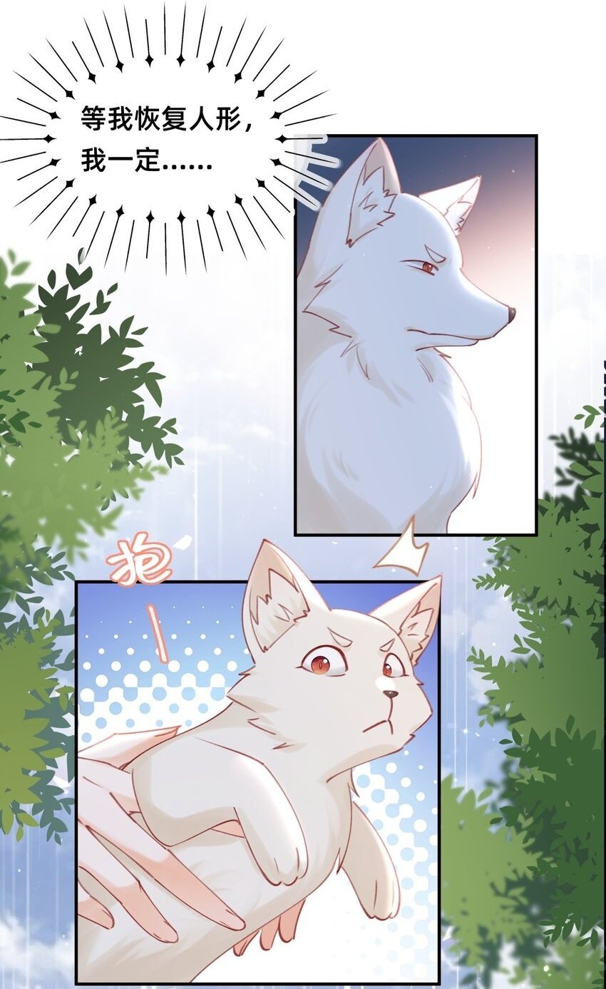 014 变回人形1
