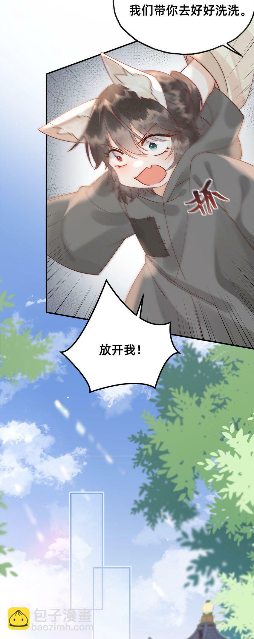 05 又捡了只狐狸17