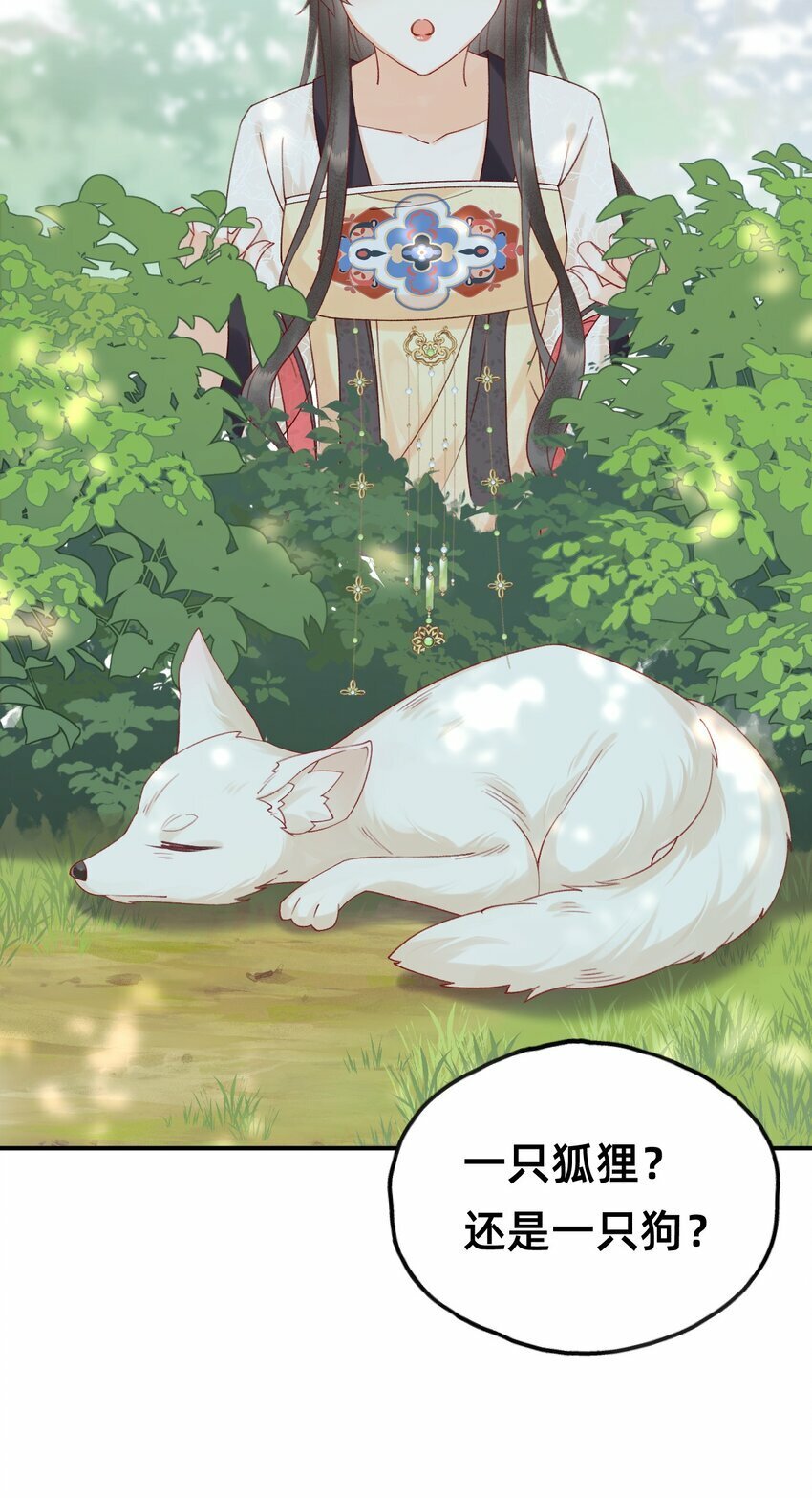 05 又捡了只狐狸27