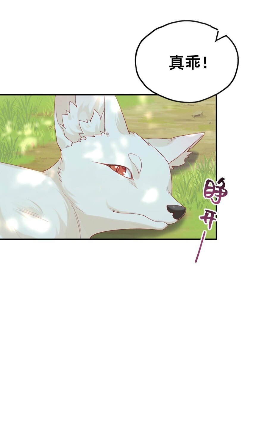 05 又捡了只狐狸29