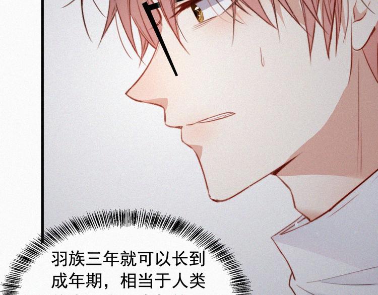 第4话 记录首次飞行10