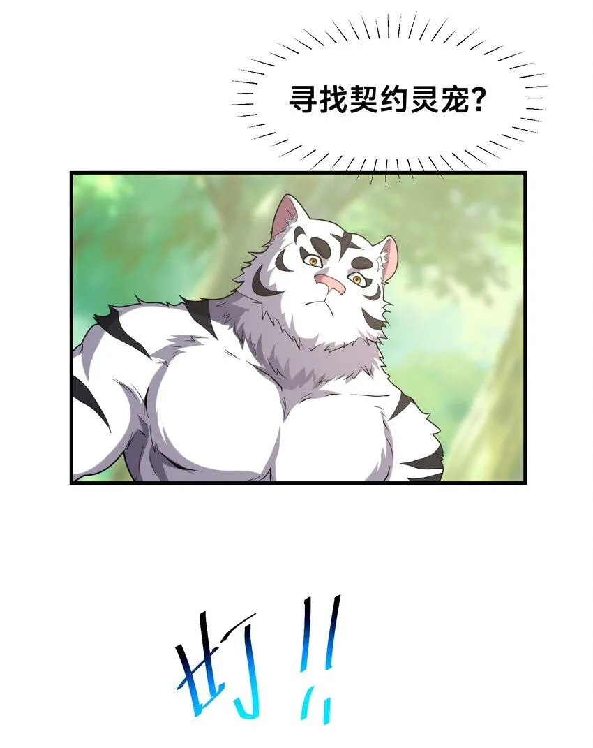 002-捕获野生法师！4