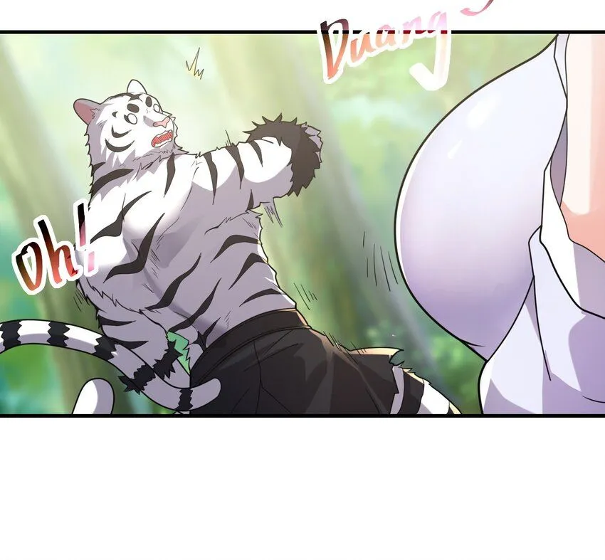 002-捕获野生法师！0
