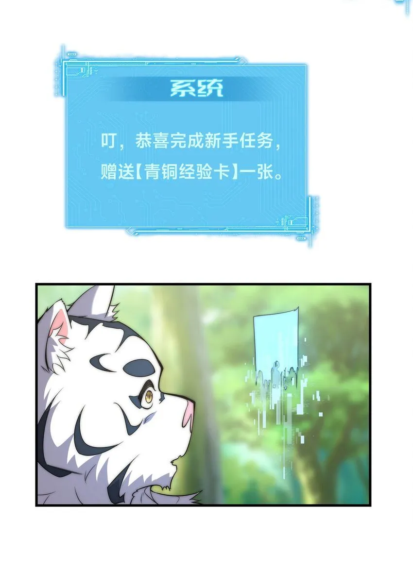 002-捕获野生法师！28