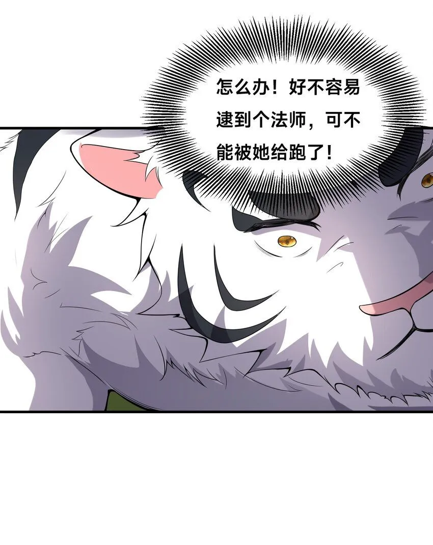 002-捕获野生法师！19