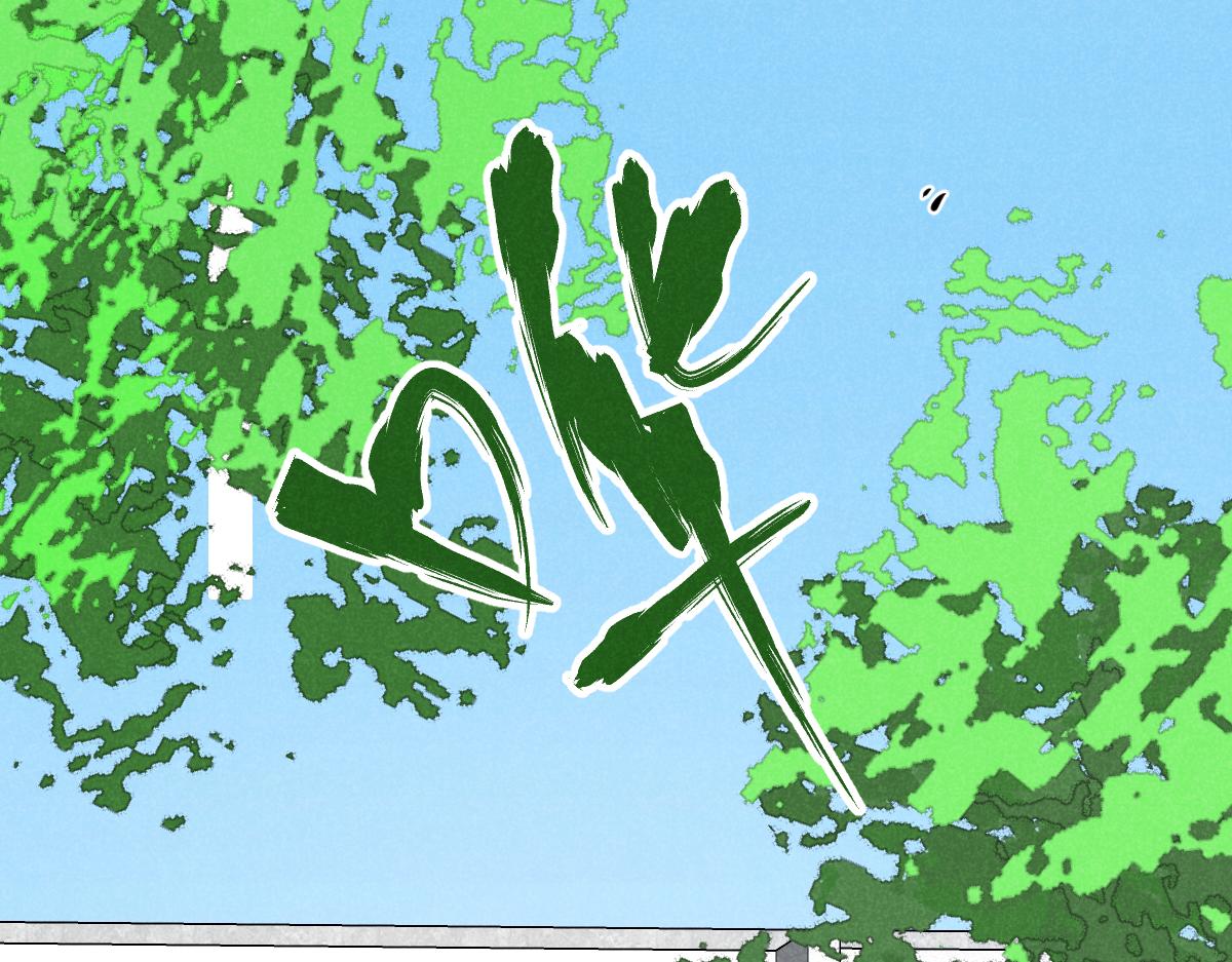 做自己67