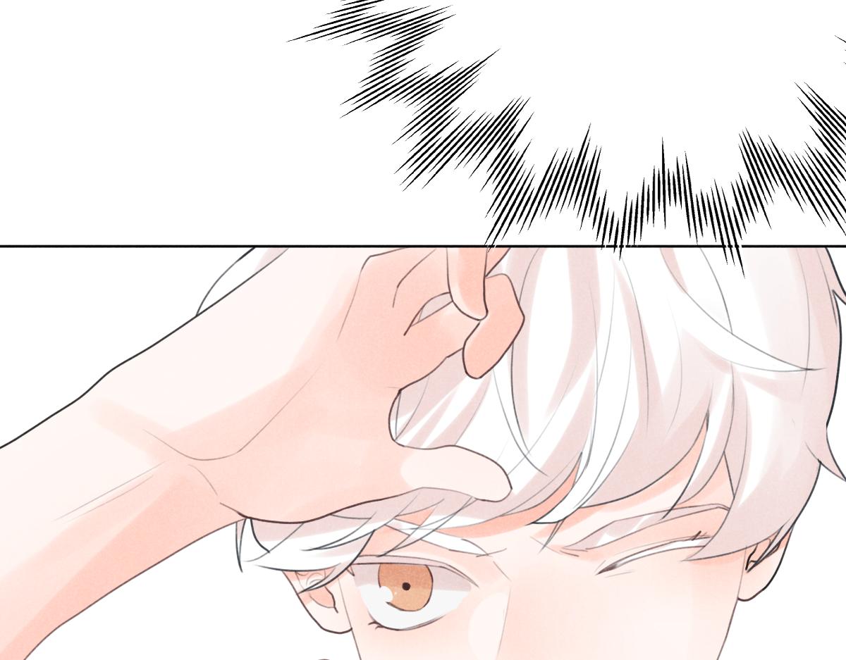 过去12