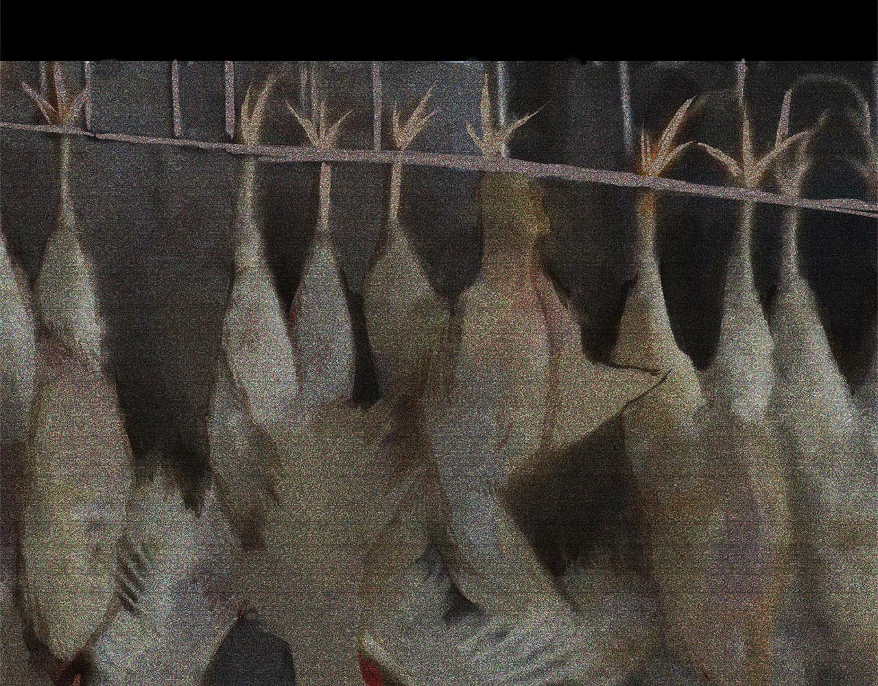 第17话 谢谢你活下来171