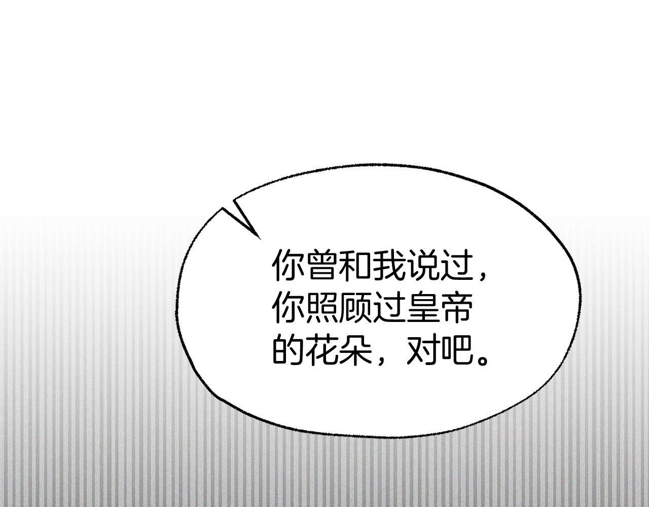 第33话 拼命的告白167