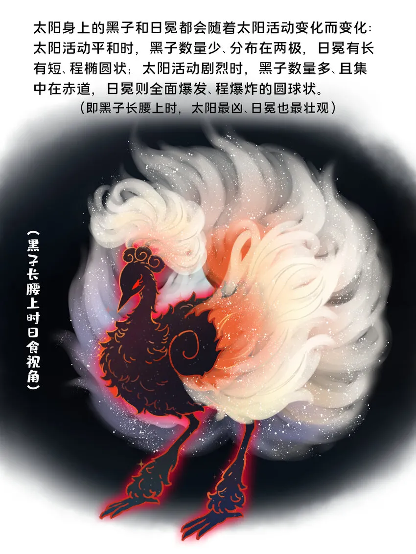 26 太阳拟鸟的设定6