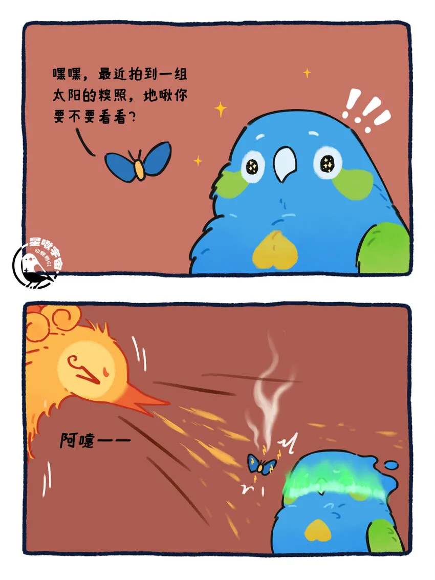 26 太阳拟鸟的设定9
