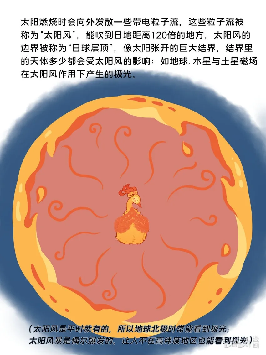 26 太阳拟鸟的设定14