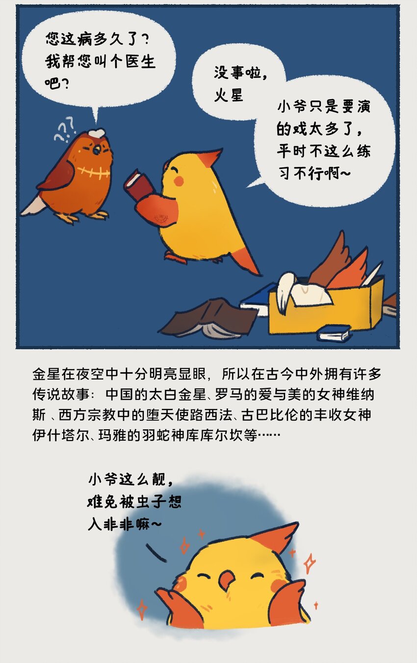 06-07 金星，一款在夜晚最耀眼的行星，生来就是要C位出道的！5