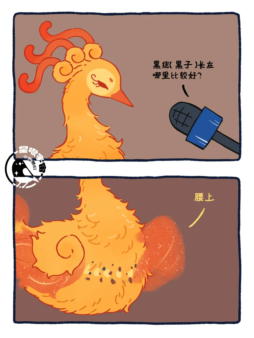 26 太阳拟鸟的设定4