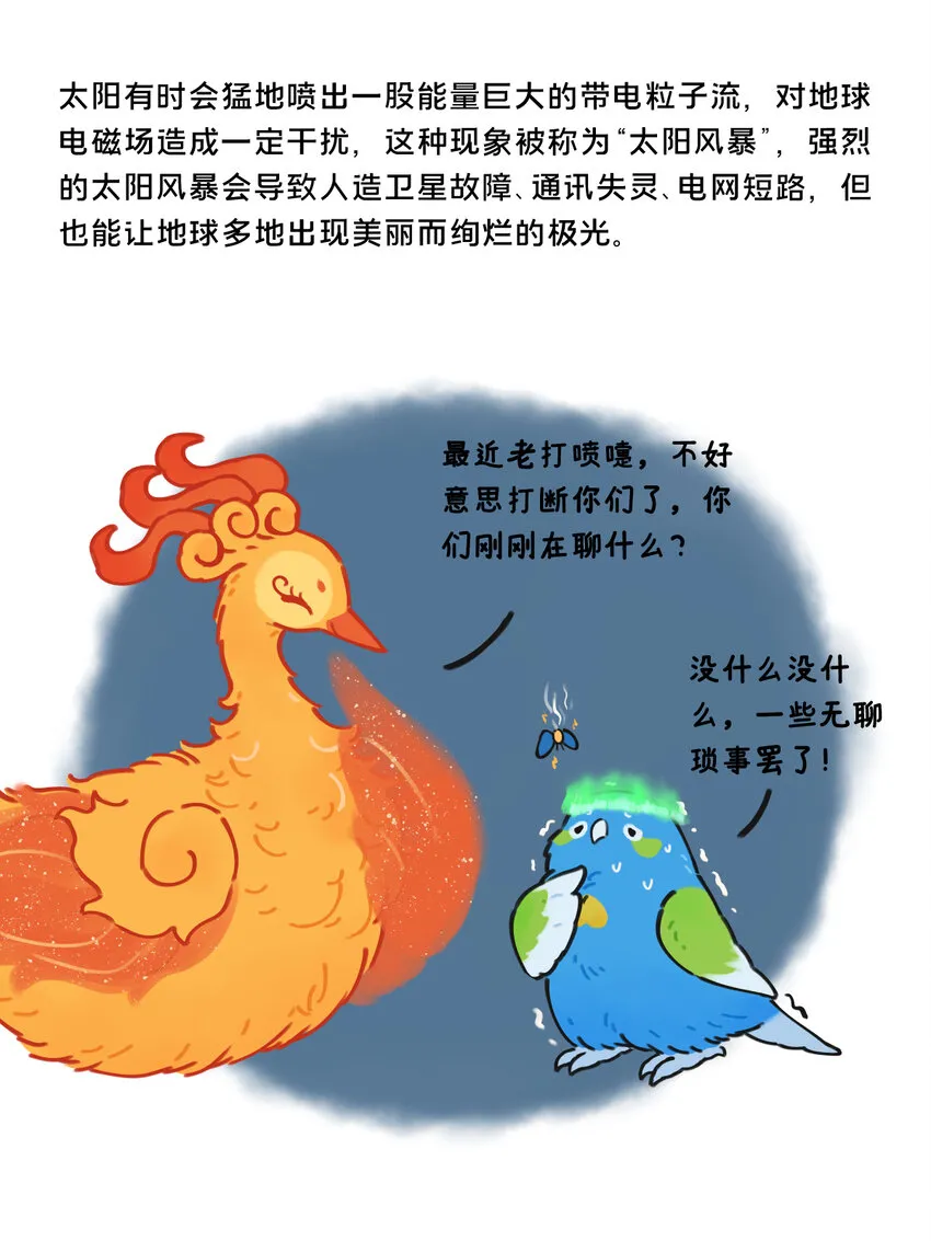 26 太阳拟鸟的设定10