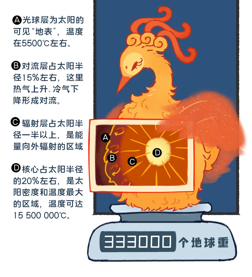 26 太阳拟鸟的设定0