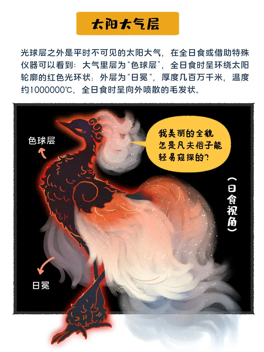 26 太阳拟鸟的设定2