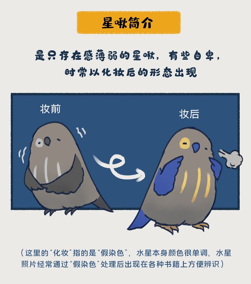 08~09 水星，一款没什么存在感的、普普通通的行星，但即使是这样的水星，也想和你们成为朋友呀——2