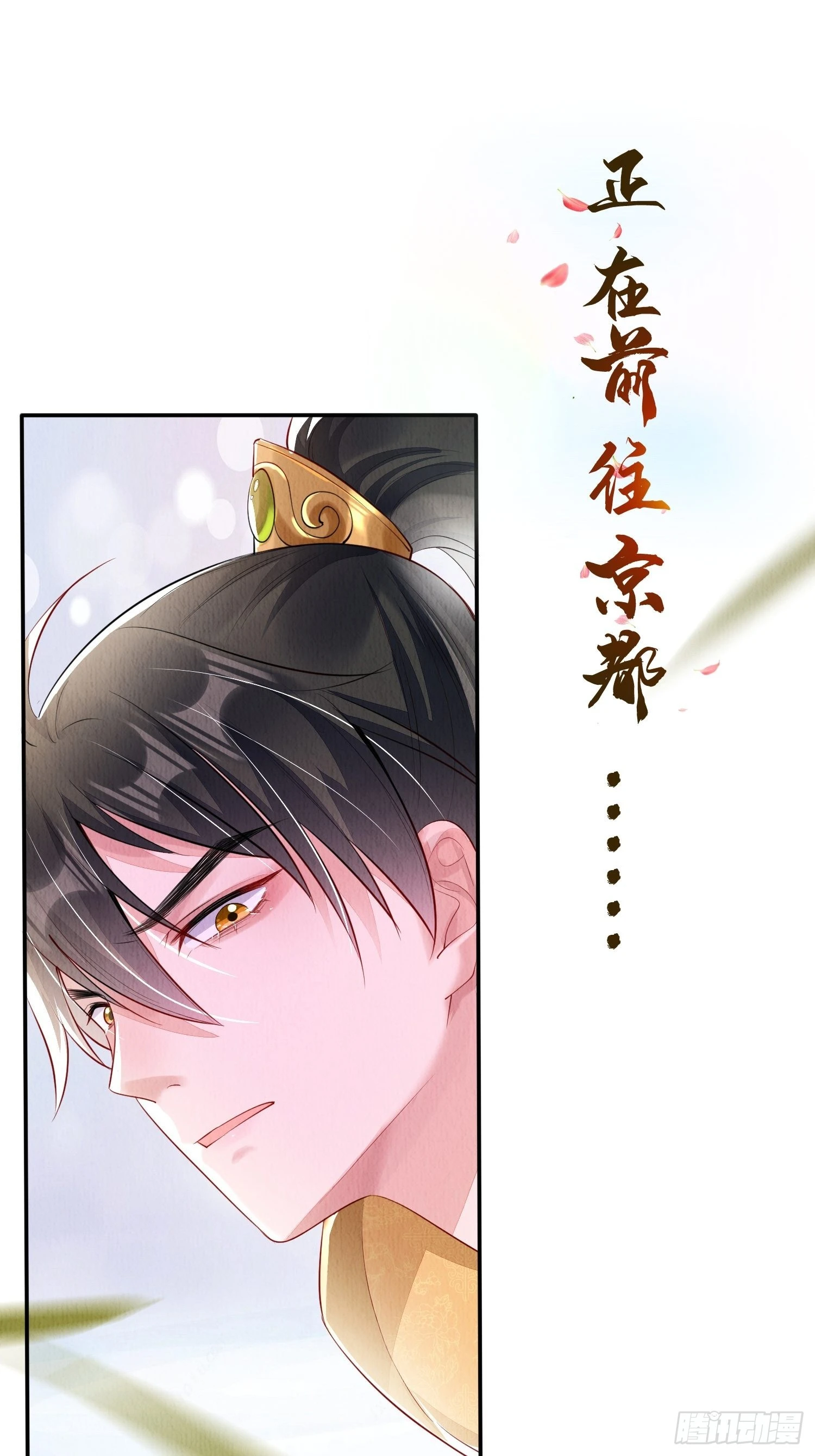 预告17