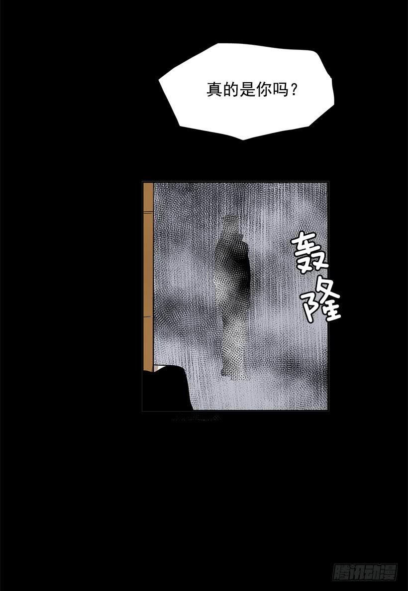 这伞我没给过人类的18
