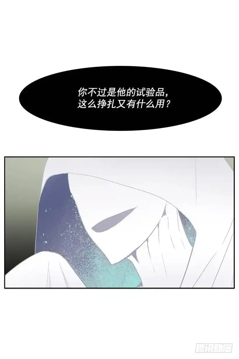再遇白斗篷25