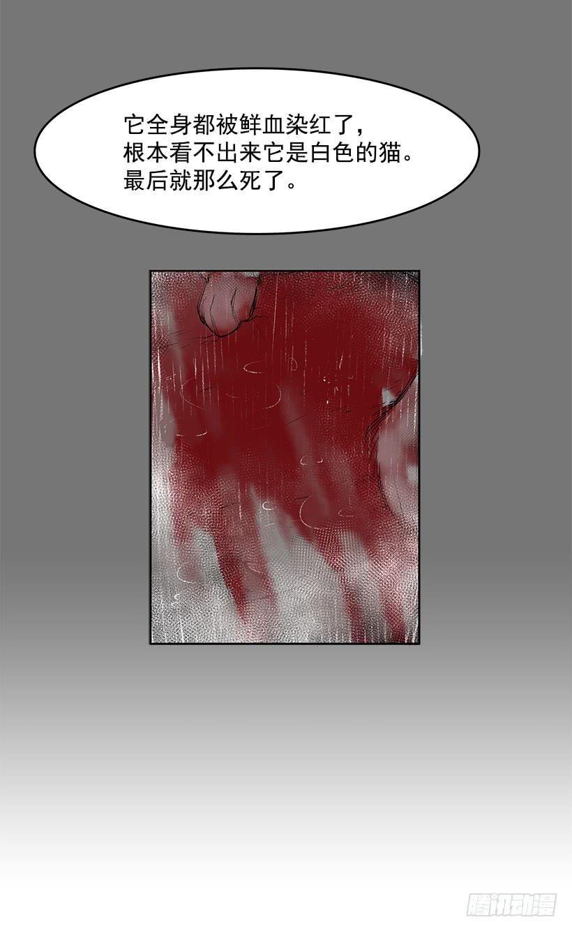 这伞我没给过人类的29