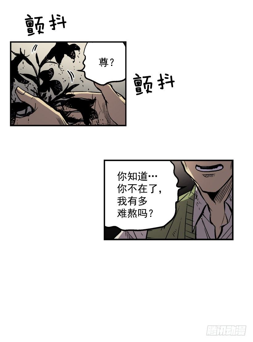 千万不能将这花盆打碎17