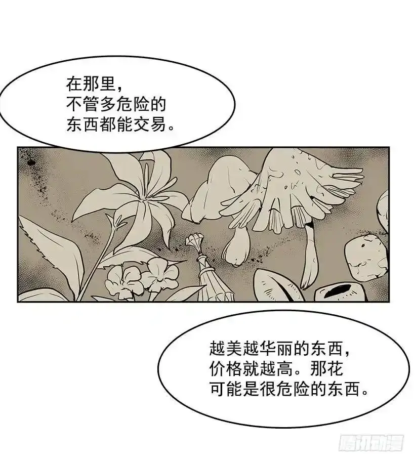 有毒的花19