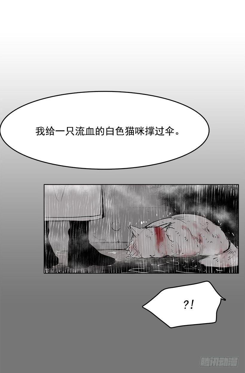 这伞我没给过人类的27