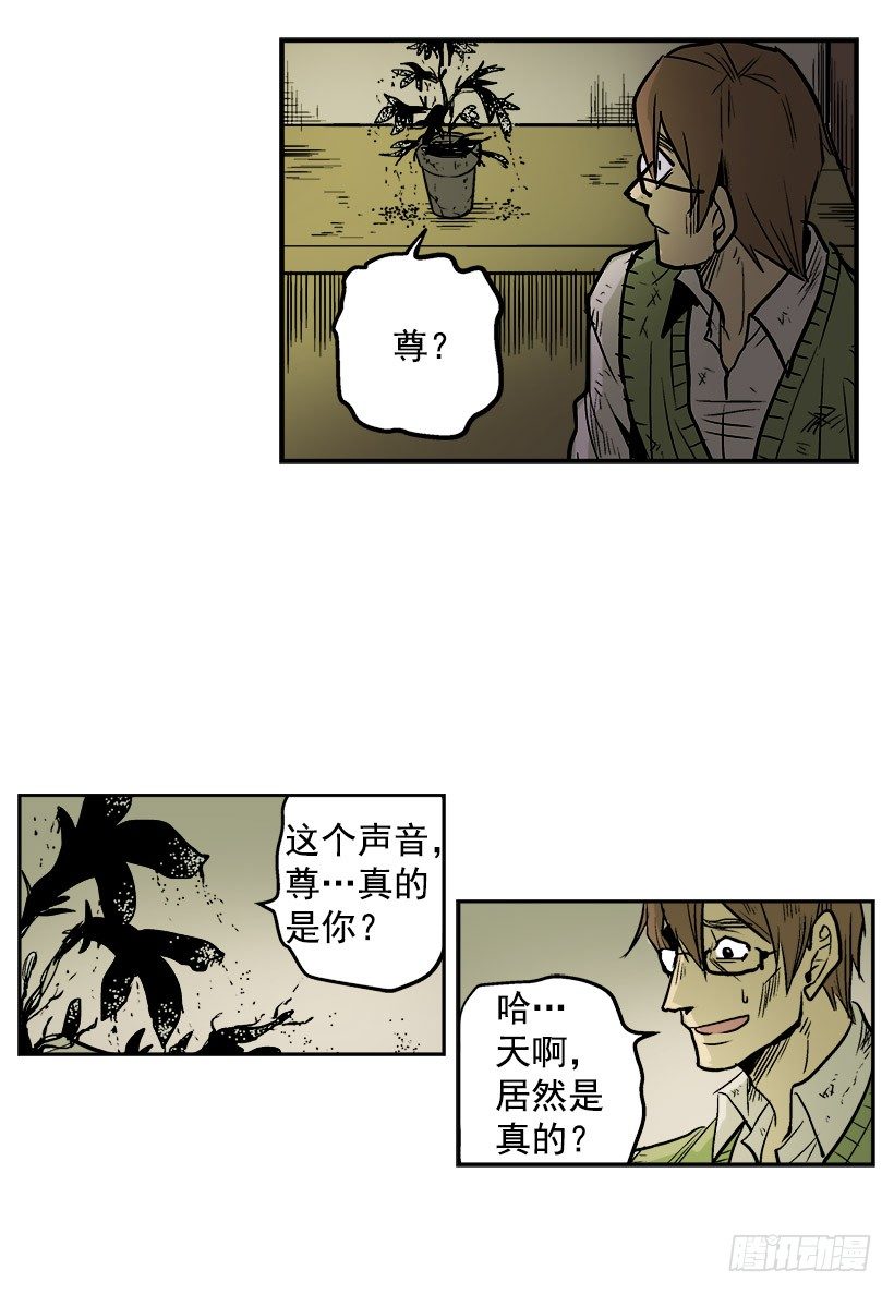千万不能将这花盆打碎15