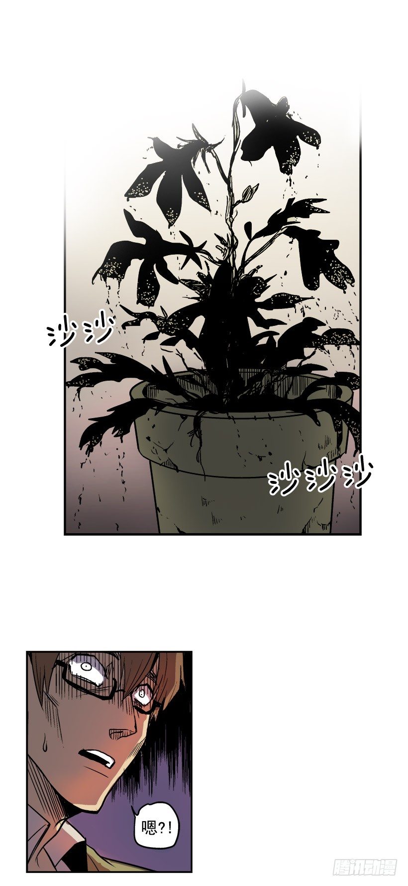 千万不能将这花盆打碎14