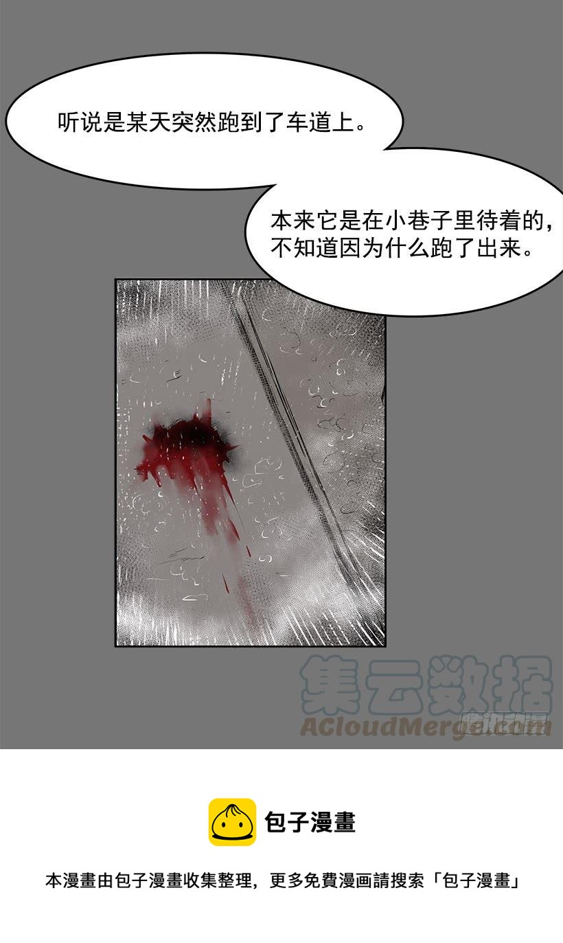 这伞我没给过人类的28
