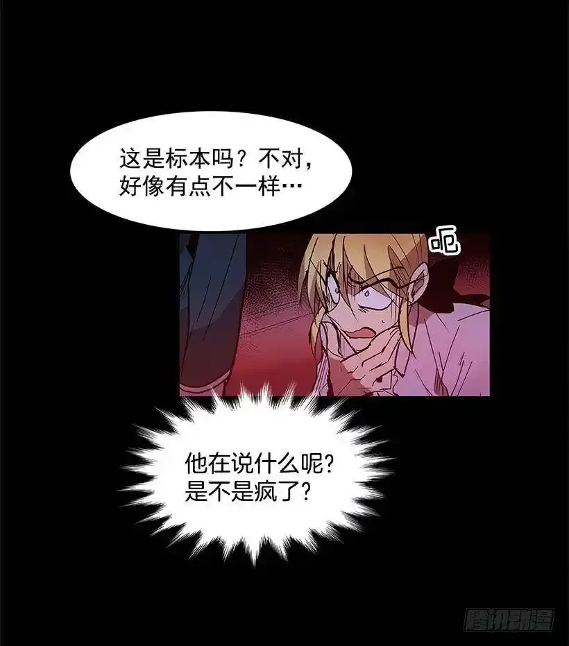 人体收藏品26