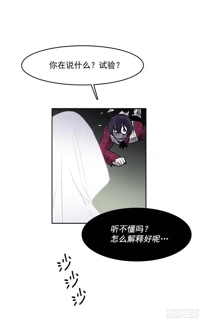 再遇白斗篷26
