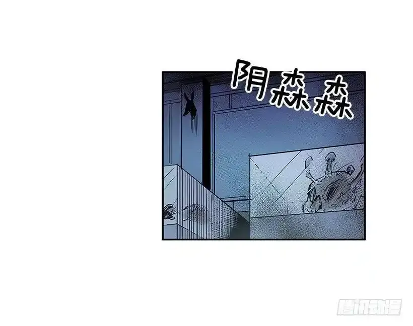 人体收藏品7