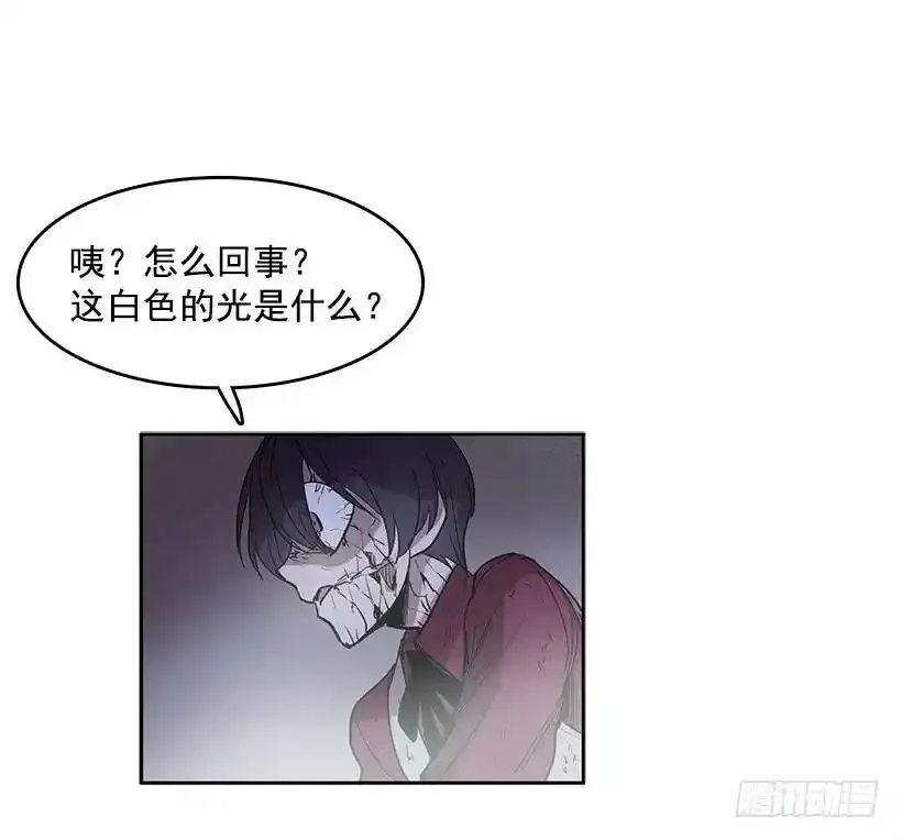 再遇白斗篷9