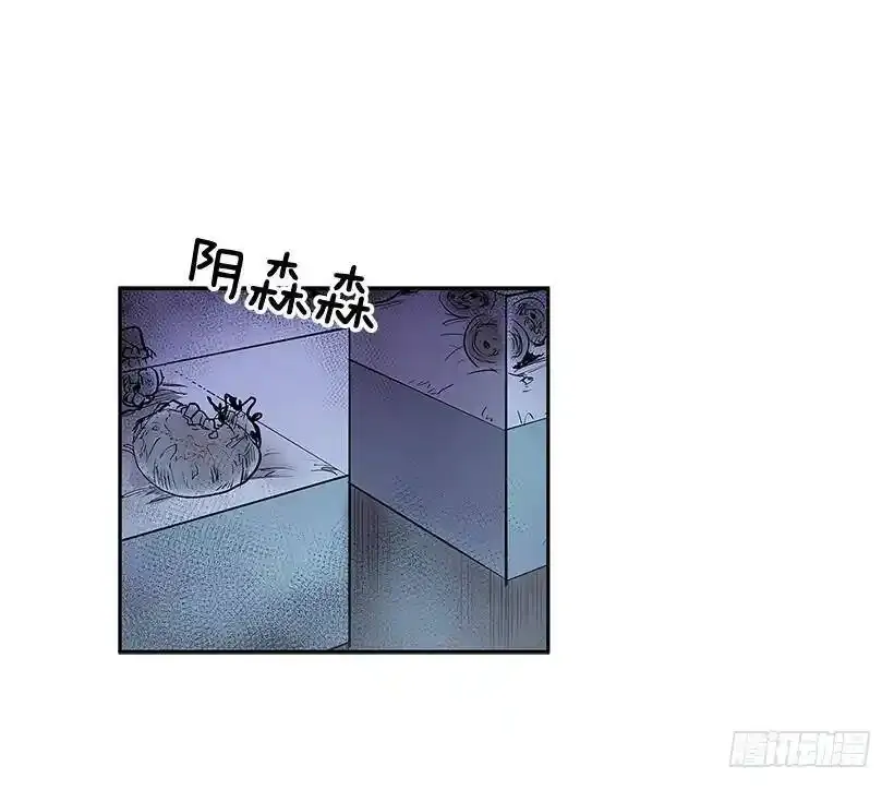 人体收藏品6