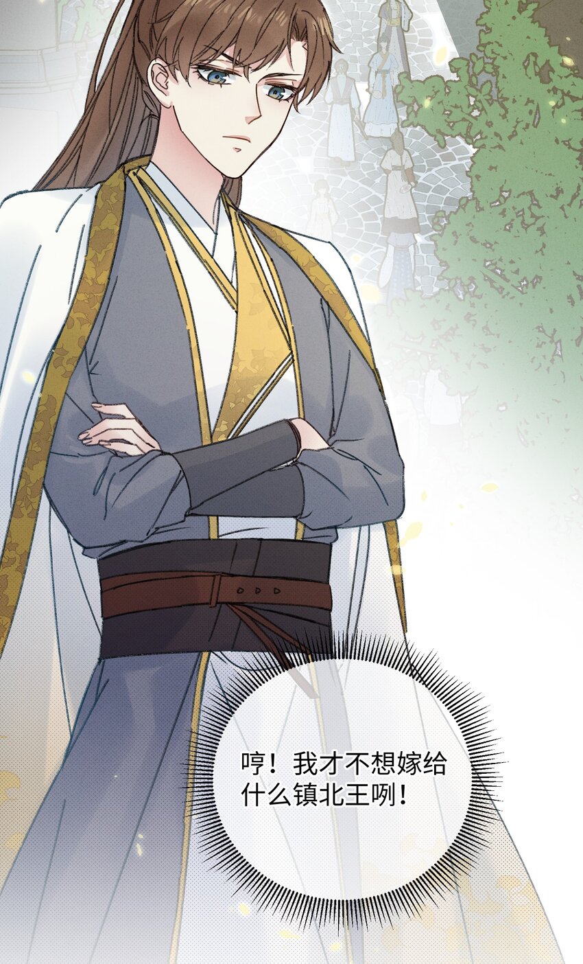 003 镇北王是谁啊，很拽么17