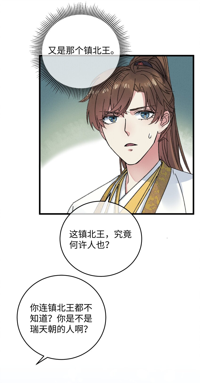 003 镇北王是谁啊，很拽么34