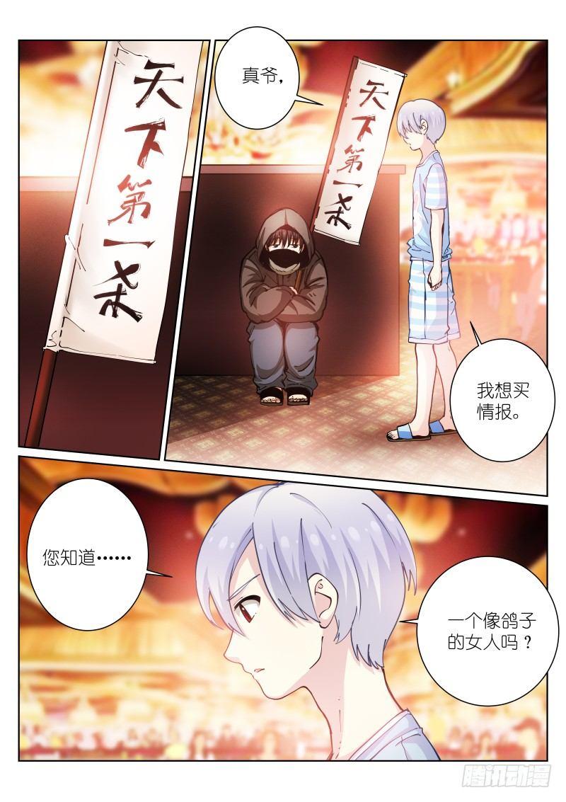 42-鸽子10