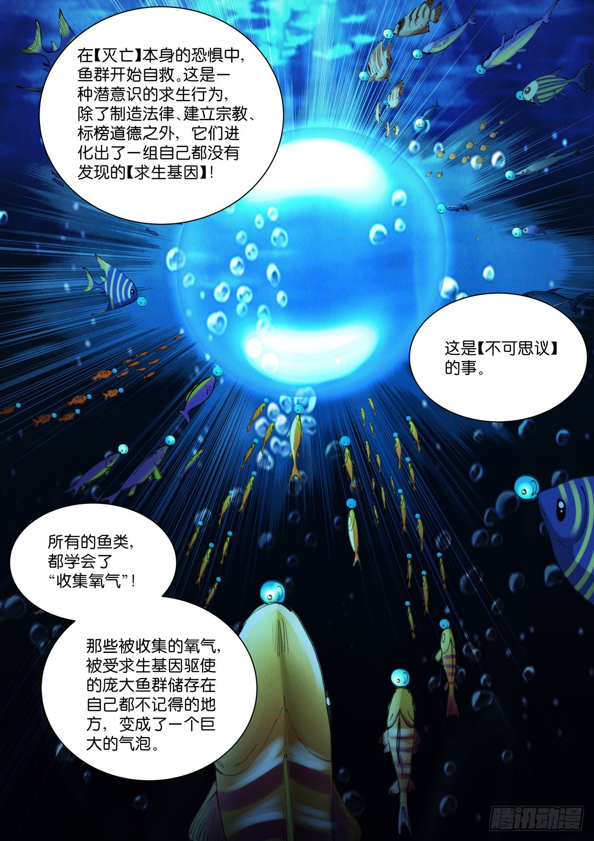 230-鱼缸5