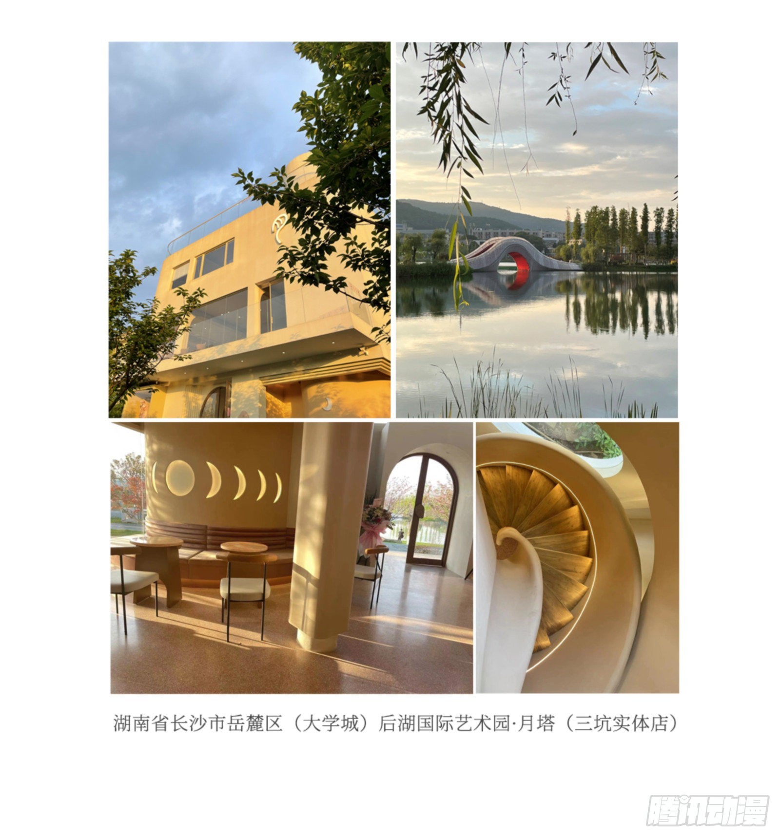 苍白读者见面会5