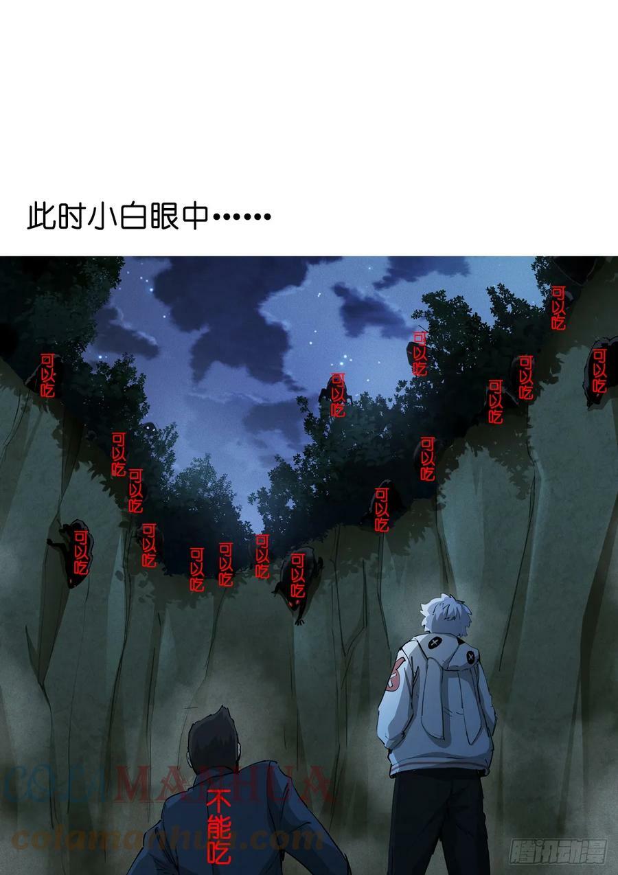 257-深白12
