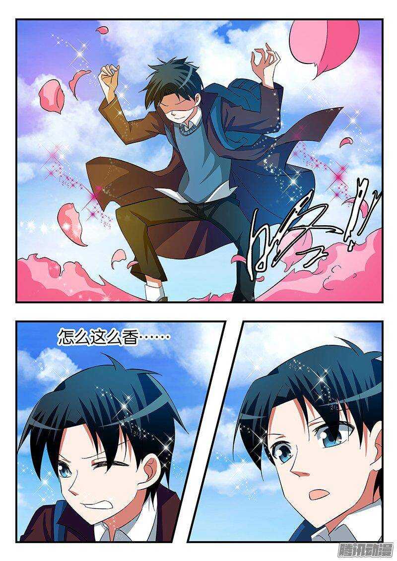 247 花海6