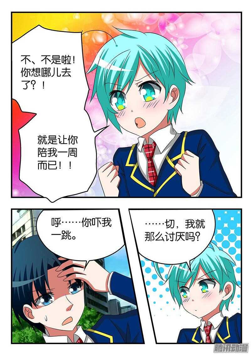 276 一周的陪伴7