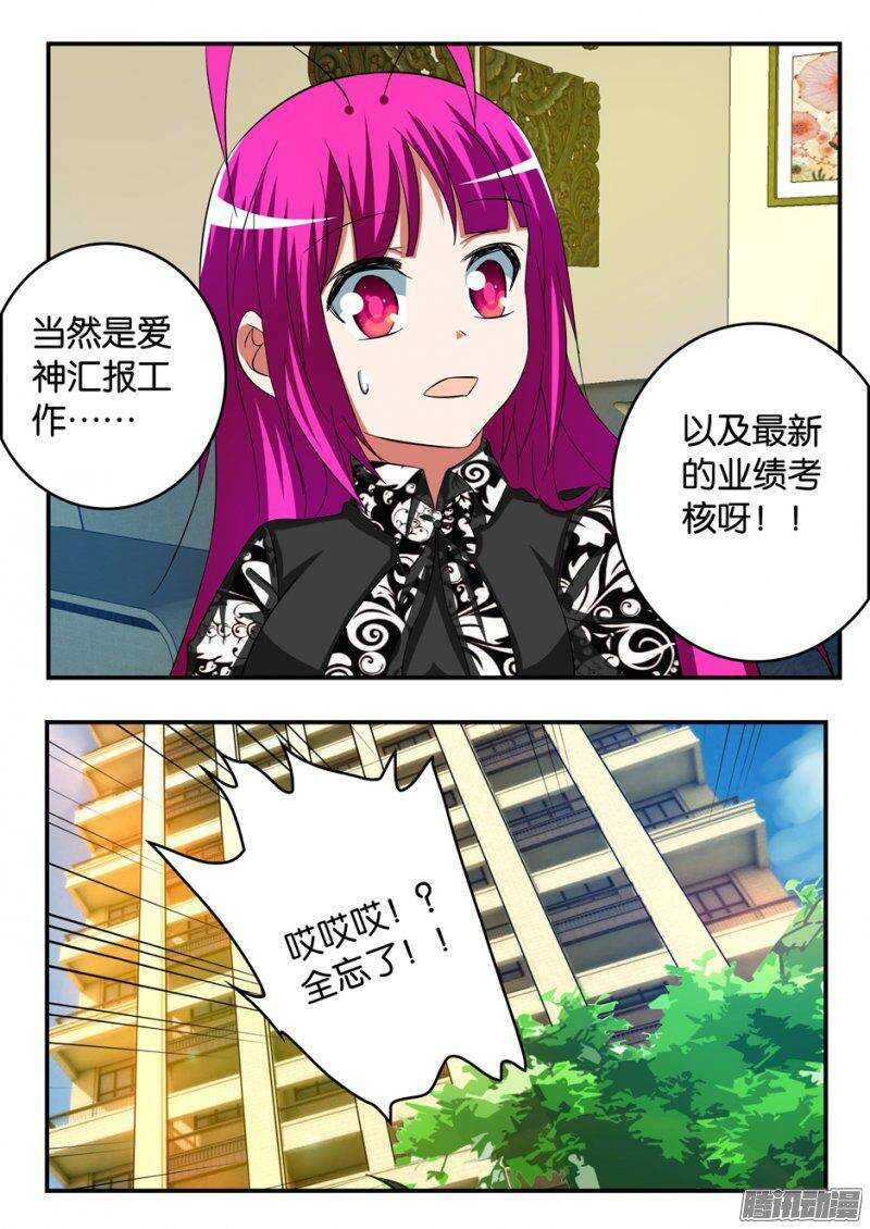 244 爱神考核9