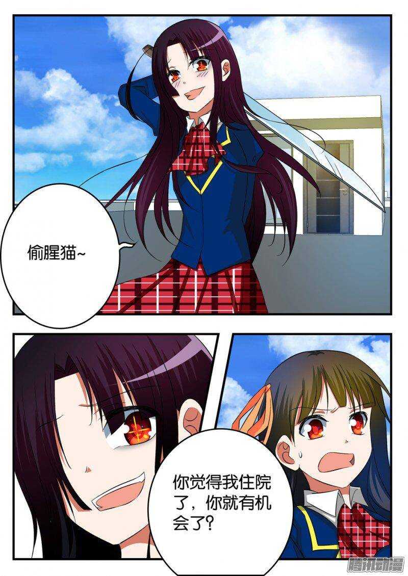 224 偷腥猫5